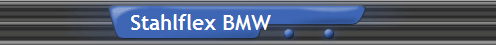 Stahlflex BMW
