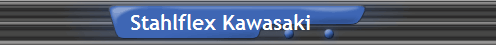 Stahlflex Kawasaki